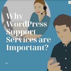 Why You Need WordPress Support