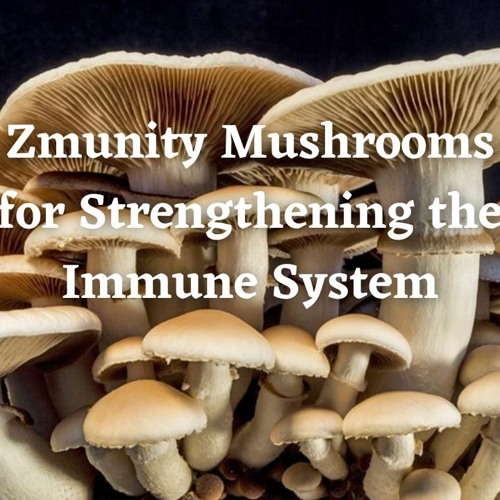 Stream episode Zmunity Mushrooms for Strengthening the Immune System by