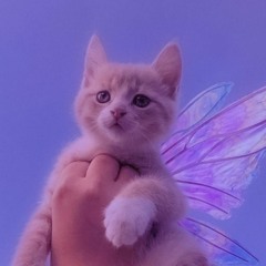 Lana Del Rey - Summertime Sadness (SWEEQTY phonk remix)