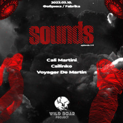 Cali Martini - Wild Boar : Sounds - episode 2 @ Terem (Budapest), 10/03/23 - [155-158 BPM]