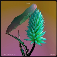 Flume - Say It (Goons Remix)