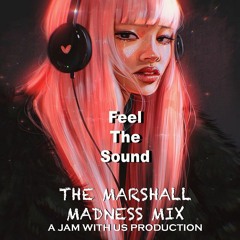 Mr.Marshall - Feel The Sounds