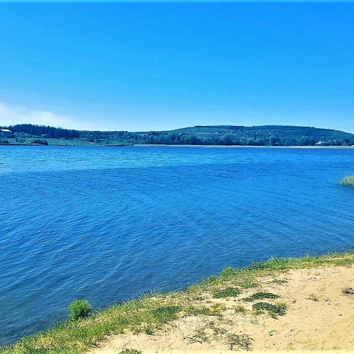 DreamWeaver - Blue Garden