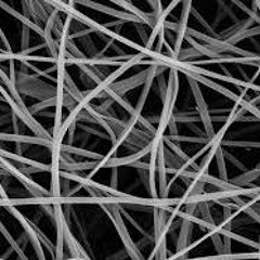 High-Filler electrospun fibers for tissue engineering