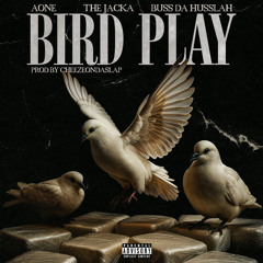 Bird Play