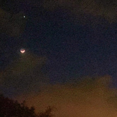 cries on my shoulder