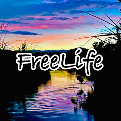 FreeLife hygar×Rabbke （prod.Zuttomusic）