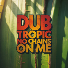 Riddim in My Soul