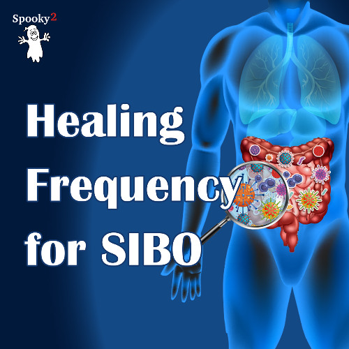 Healing Frequency for SIBO  -Spooky2 Rife Frequencies