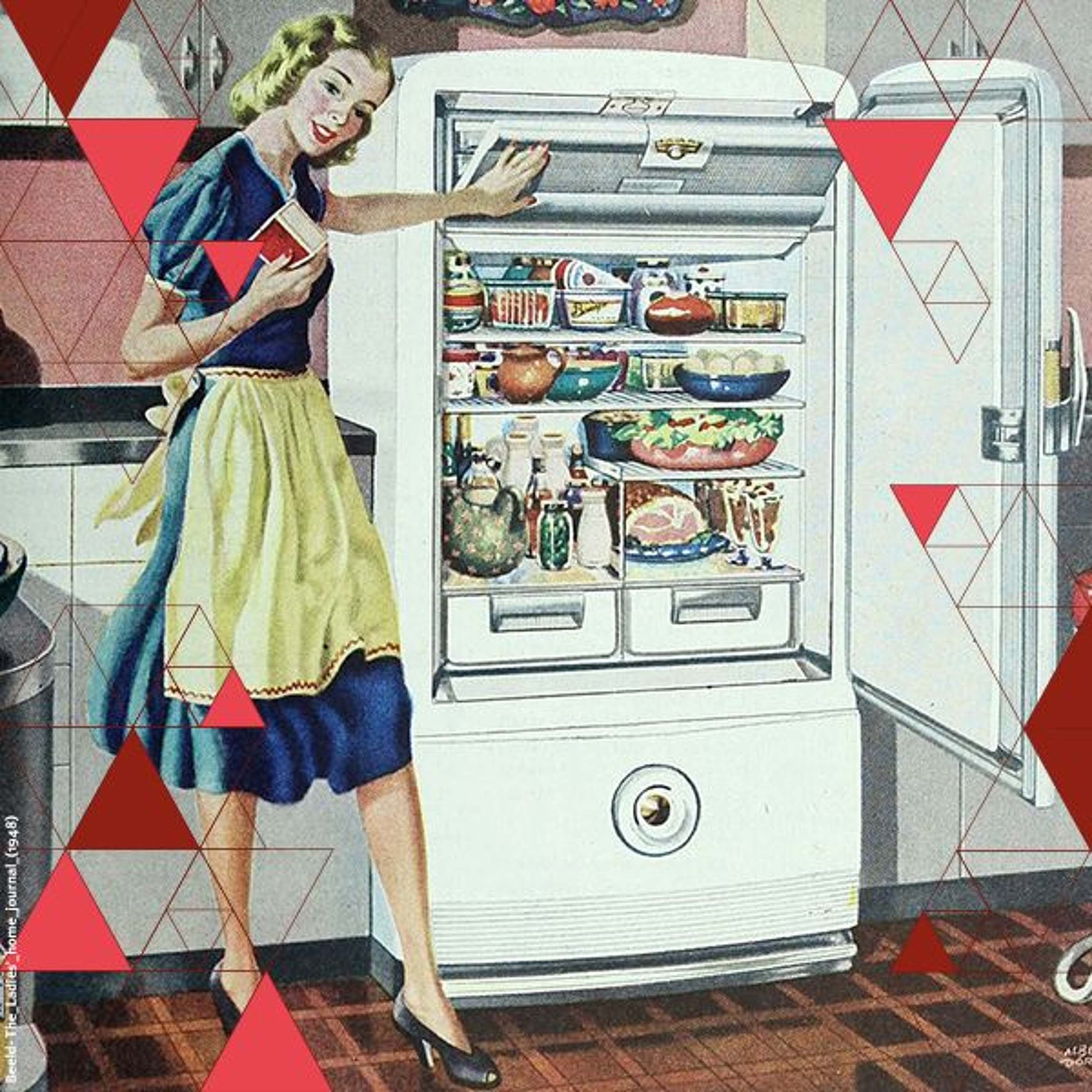 Wat drijft tradwives? | Theoloog Mariecke van den Berg en socioloog Katia Begall episode artwork