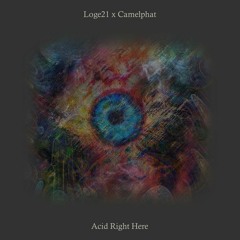 Loge21 x Camelphat - Acid Right Here (Mashup)