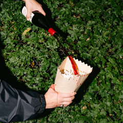 polka king of the midwest