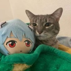 jangan -aziz harun//spedup