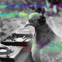160bpm Kopfnickermucke- R3NuTix [One Pattern]