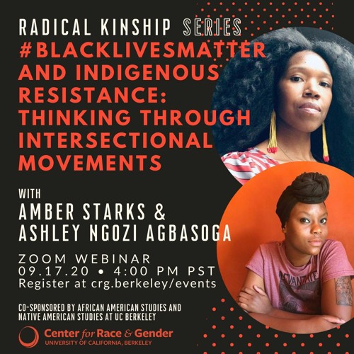 #BLACKLIVESMATTER AND INDIGENOUS RESISTANCE: THINKING THROUGH INTERSECTIONAL MOVEMENTS