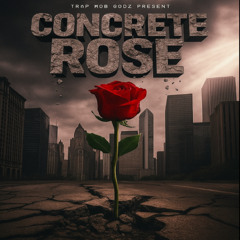 CONCRETE ROSE