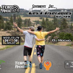 worldly-wise & Dj Mocho pres. Sentiments Des Les Miserables EP 139