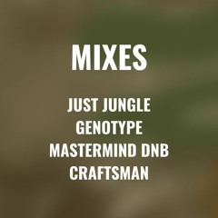 Jungle/Drum & Bass Mixes (Past and Present)