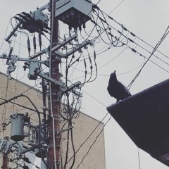psycho