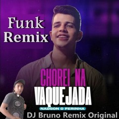 Nadson o Ferinha Chorei Na Vaquejada Remix (Dj Bruno Remix Original)