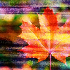 Leaf twins