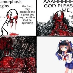 Litmus Test