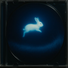 Midnight Hare | Bouncy Techno Mix