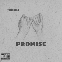 Promise
