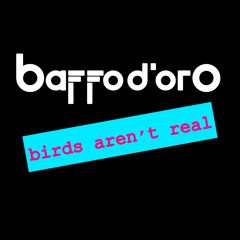 Birds Aren't Real