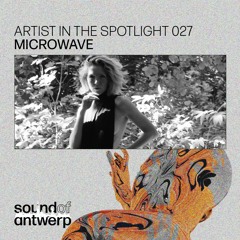 Artist in the Spotlight 027 - Microwave