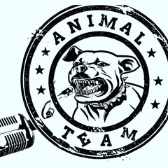 ANIMAL TEAM S16 - MORNING2