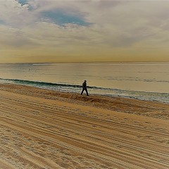 Transporter