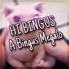 HI BINGUS- A Bingus Megalo