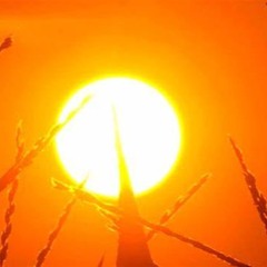 Hot Day (2020) Anthology CD3 Track 09