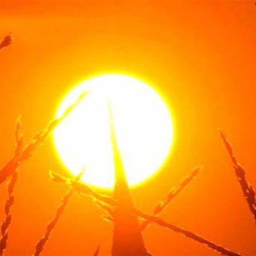 Hot Day (2020) Anthology CD3 Track 09