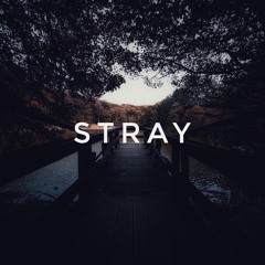 stray (feat. Lirth)