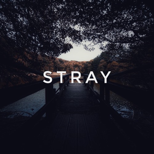 stray (feat. Lirth)