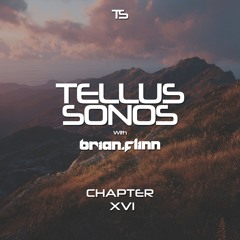 Brian Flinn - Tellus Sonos Chapter 16