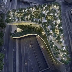 Take me to the dance