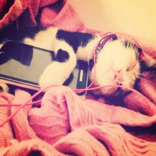 DOUBT ME FT. PITCHWEAVR & VICTXRW PROD PITCHWEAVR