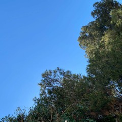 Breath In
