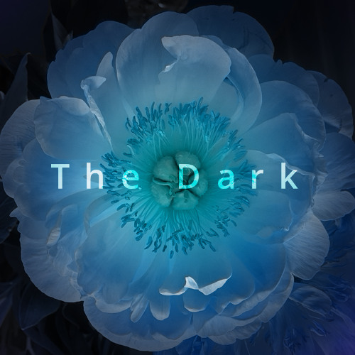 The Dark