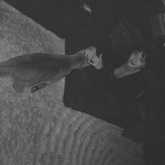 Stardust (Hoagy Carmichael Cover)