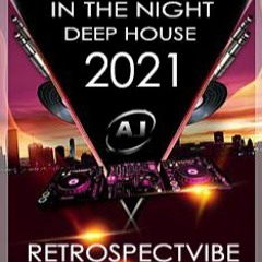 PODCAST IN THE NIGHT DEEP HOUSE - RETROSPECT 2021
