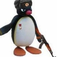 Pingu Teknu