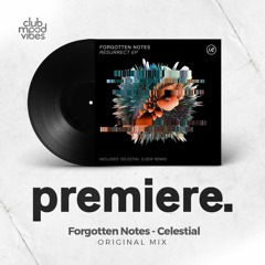 PREMIERE: Forgotten Notes ─ Celestial (Original Mix) [Renaissance]