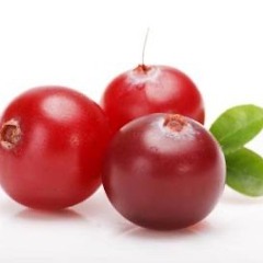 Racktard D - Cranberry