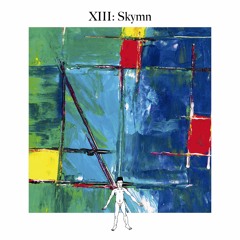 Awareness XIII: Skymn