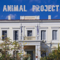 Mysterious Cat @ Hospital ~ 27/12/2024 ~ Day #1