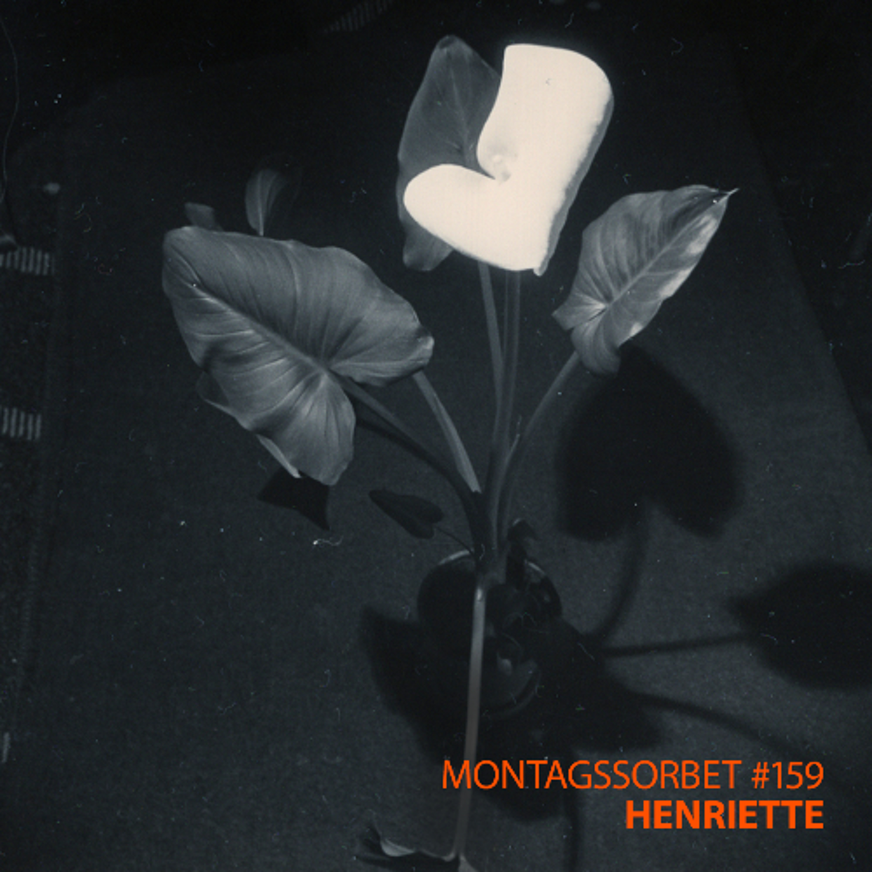 #159: Henriette - Montagssorbet mit Laut & Luise episode artwork